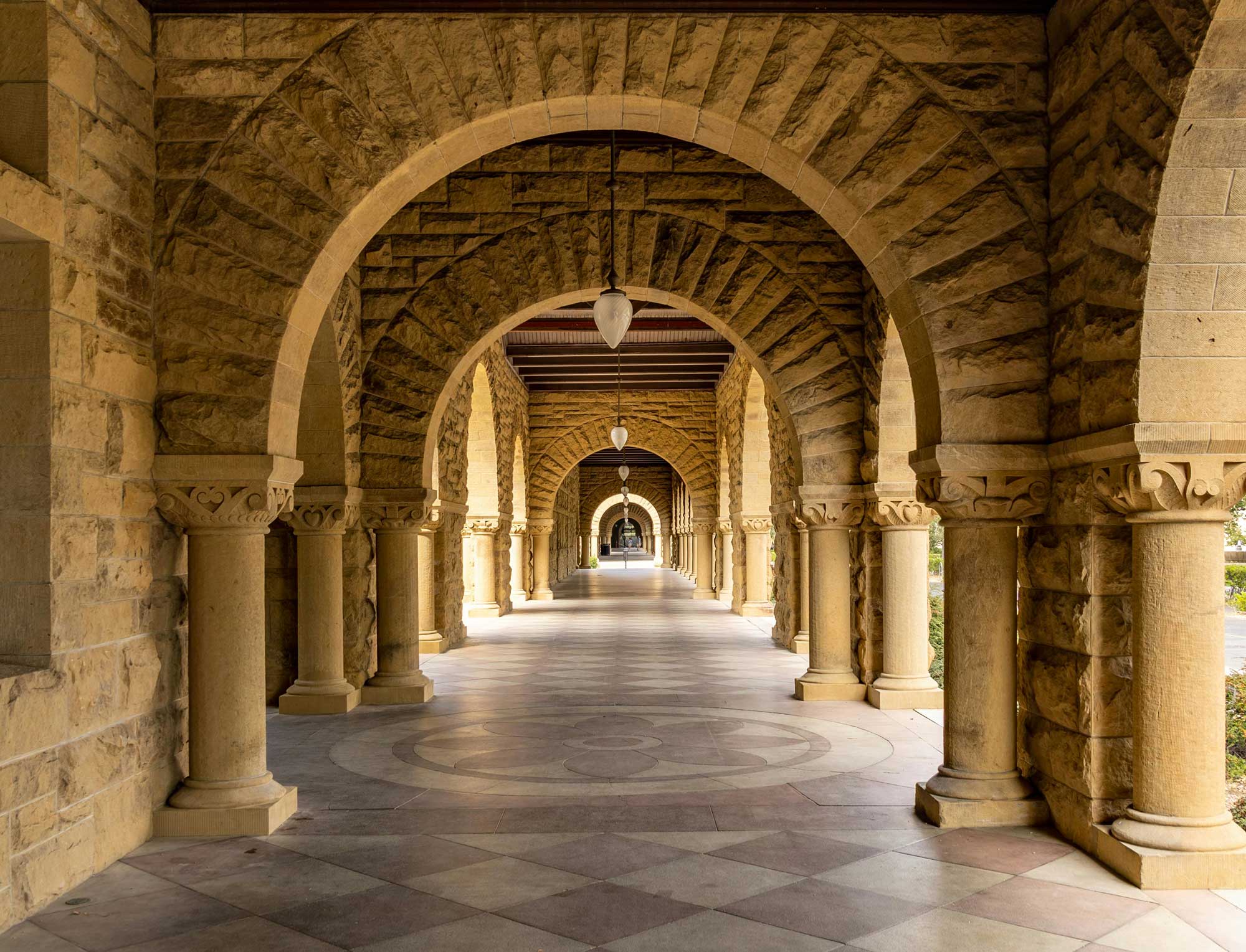 Stanford university